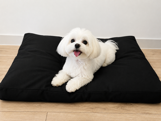 Shredded Bed